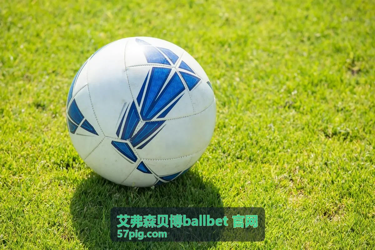 艾弗森贝博ballbet 官网 规则变更与版本对照条目配图