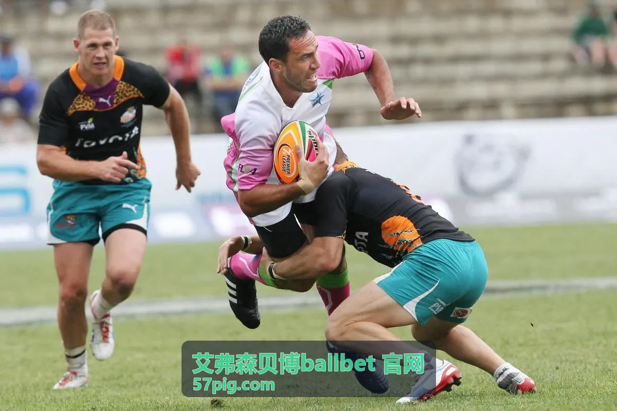 艾弗森贝博ballbet 官网数据订阅配图